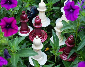 Chess Flowers