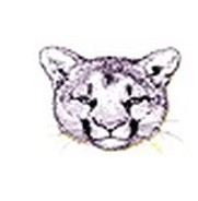 Custer Cougar Logo